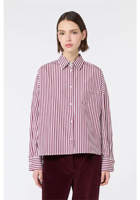 Striped poplin shirt MAX MARA WEEKEND |  | 2625116052600005